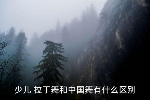 少兒 拉丁舞和中國舞有什么區(qū)別