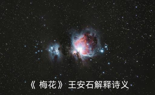 《 梅花》 王安石解釋詩義