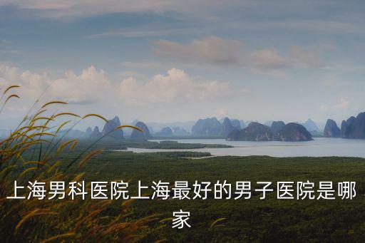 上海男科醫(yī)院上海最好的男子醫(yī)院是哪家
