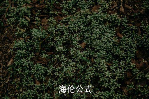 海倫定理,公式:三角形和多邊形面積計算新方法