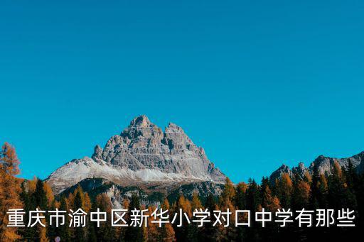 重慶市渝中區新華小學對口中學有那些