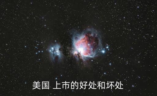 美國 上市的好處和壞處