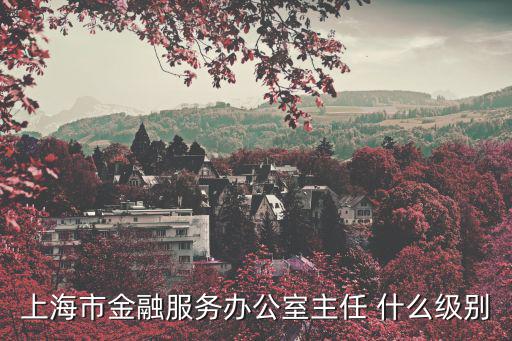 上海市金融服務(wù)辦公室主任 什么級別