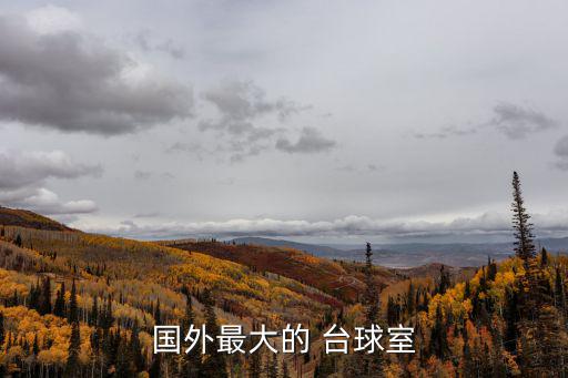 俄式臺球,萬嘉臺球酒吧33張桌子俄式臺球和16球