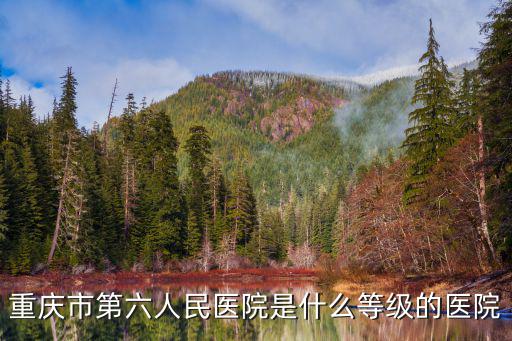 重慶市第六人民醫院是什么等級的醫院