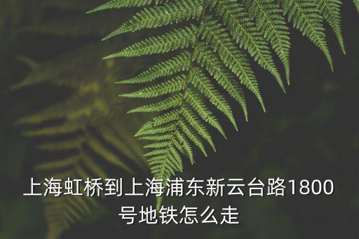 上海市云臺(tái)路1800號(hào)怎么走，云臺(tái)路1800號(hào)公交車怎么坐車