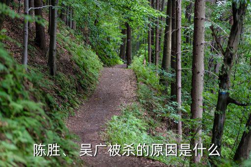 陳勝、 吳廣被殺的原因是什么