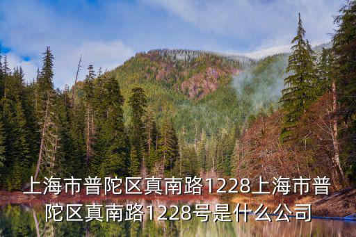 上海市普陀區真南路1228上海市普陀區真南路1228號是什么公司