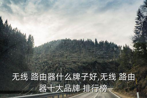 無線 路由器什么牌子好,無線 路由器十大品牌 排行榜