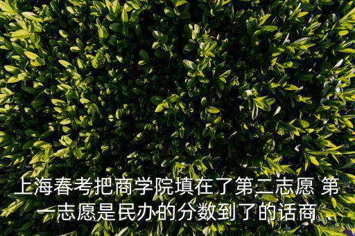 上海市春考只要填了志愿，上海春考把商學(xué)院填在了第二志愿 第一志愿是民辦的分?jǐn)?shù)到了的話商