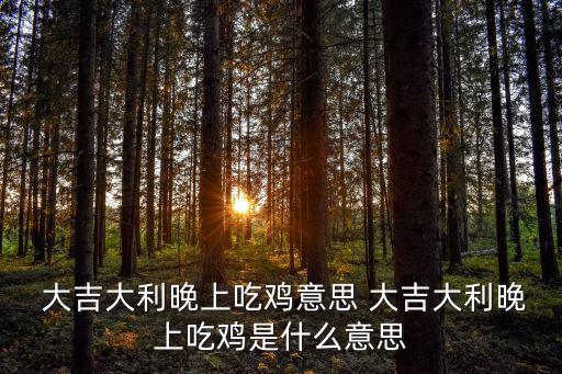  大吉大利晚上吃雞意思 大吉大利晚上吃雞是什么意思