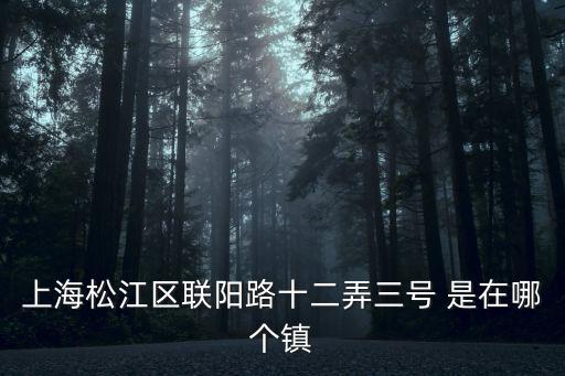 上海市松江區聯陽路12弄12號，上海松江區聯陽路十二弄三號 是在哪個鎮