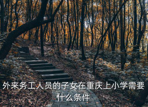 重慶市外籍人員子女入學(xué)政策，重慶外來務(wù)工子女入學(xué)條件