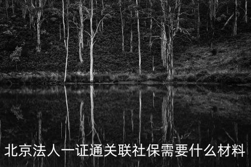 北京法人一證通關(guān)聯(lián)社保需要什么材料