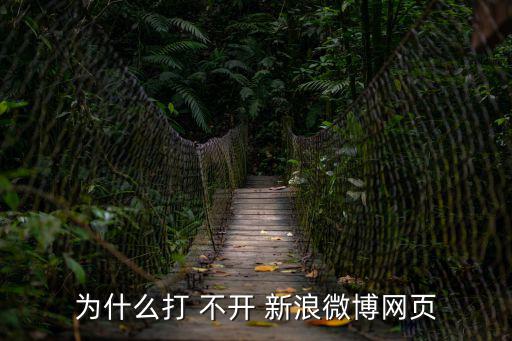 為什么打 不開(kāi) 新浪微博網(wǎng)頁(yè)