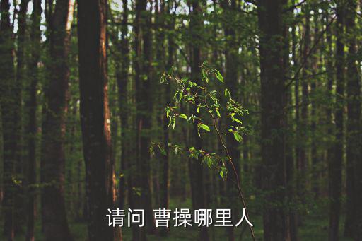 請問 曹操哪里人