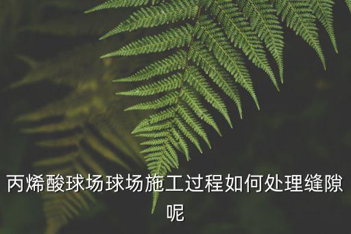 上海市丙烯酸球場工程，丙烯酸網球場建設需要多少資金