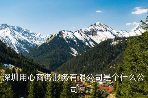 深圳用心商務(wù)服務(wù)有限公司是個(gè)什么公司
