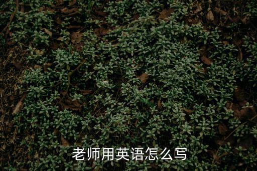 老師英文,選區(qū)競(jìng)選廣播