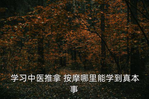 按摩學(xué)習(xí),王春亮按摩按摩技術(shù)是中國民間非物質(zhì)文化遺產(chǎn)