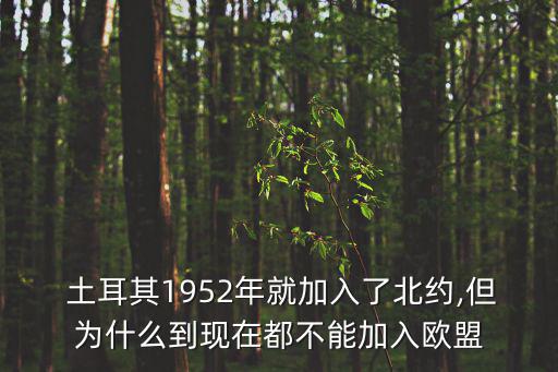  土耳其1952年就加入了北約,但為什么到現在都不能加入歐盟