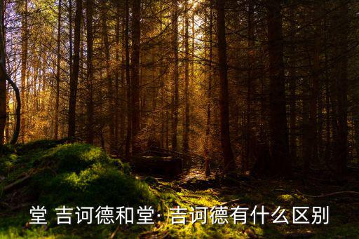堂吉訶德讀音,契訶夫早期小說特別注重風(fēng)格以don為中心