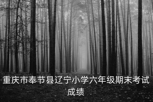 重慶市奉節(jié)縣2019年小學(xué)畢業(yè)考試答案，2011年重慶市奉節(jié)縣小學(xué)升初中各個初中學(xué)校錄取分為多少實驗