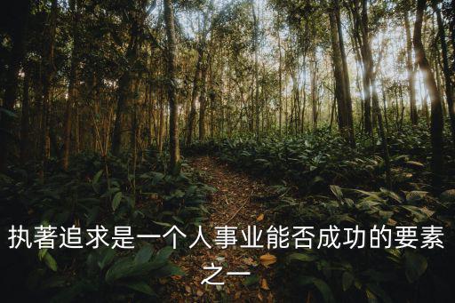 執(zhí)著追求，執(zhí)著追求精神是什么意思