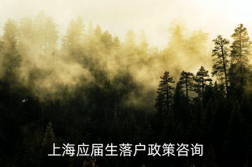 上海應(yīng)屆生落戶(hù)政策咨詢(xún)