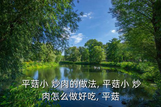  平菇小 炒肉的做法, 平菇小 炒肉怎么做好吃, 平菇