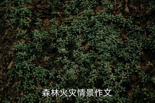 森林火災(zāi)情景作文