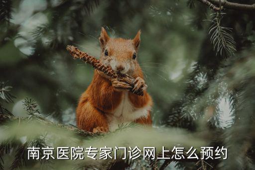 南京醫院專家門診網上怎么預約
