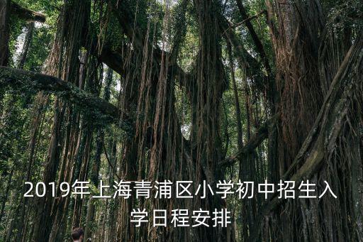 2019年上海青浦區(qū)小學初中招生入學日程安排
