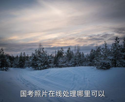 上海市考照片處理，上海現在考駕照 報名時是自己帶照片還是現場拍