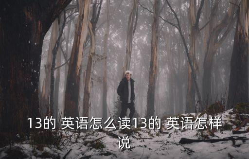 13的 英語怎么讀13的 英語怎樣說