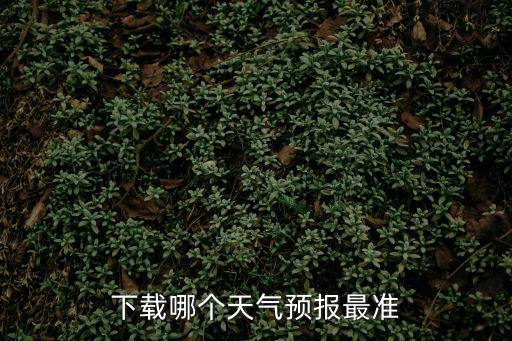 下載哪個(gè)天氣預(yù)報(bào)最準(zhǔn)