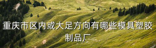 重慶市區內或大足方向有哪些模具塑膠制品廠