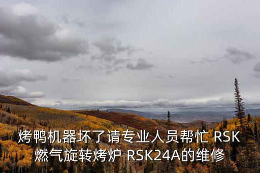 烤鴨機(jī)器壞了請專業(yè)人員幫忙 RSK燃?xì)庑D(zhuǎn)烤爐 RSK24A的維修