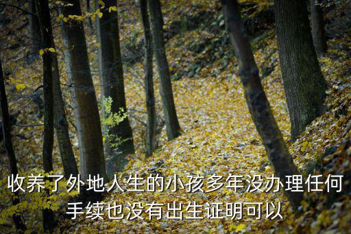 收養(yǎng)了外地人生的小孩多年沒辦理任何手續(xù)也沒有出生證明可以