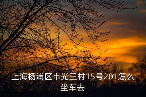 上海楊浦區市光三村15號201怎么坐車去