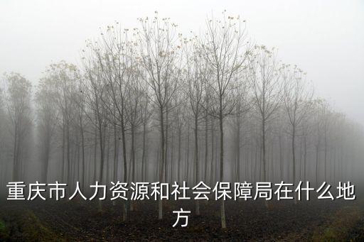 重慶市人力資源和社會保障局在什么地方