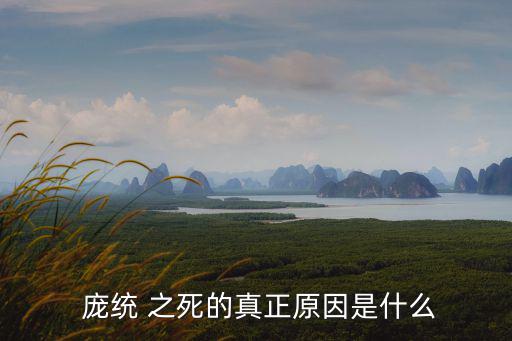 龐統(tǒng)之死,第一集:好勝心使他不顧天象執(zhí)意出兵導(dǎo)致自己死亡