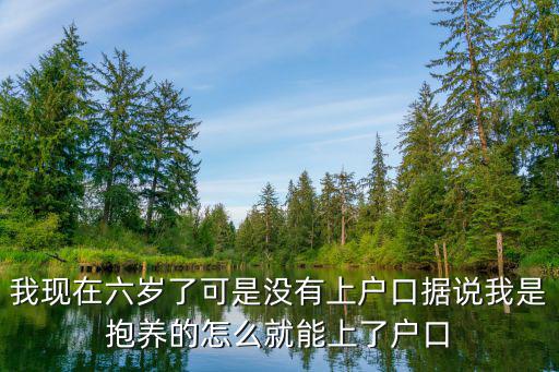 事實收養年滿6歲可以落戶，領養的孩子可以上戶口嗎