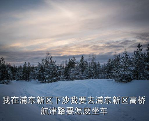 我在浦東新區下沙我要去浦東新區高橋航津路要怎麼坐車