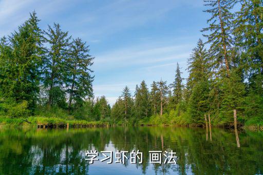 學習蝦的 畫法