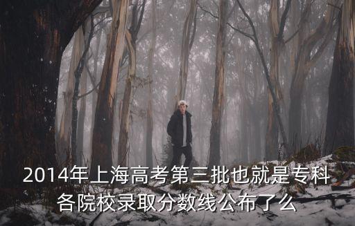 2014年上海高考第三批也就是專科各院校錄取分數線公布了么