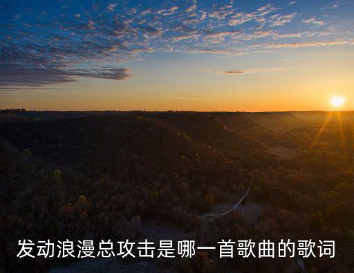 愛投羅網，愛投羅網講的是什么意思