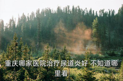 重慶哪家醫院治療尿道炎好 不知道哪里看