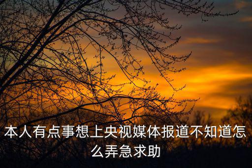 本人有點(diǎn)事想上央視媒體報(bào)道不知道怎么弄急求助