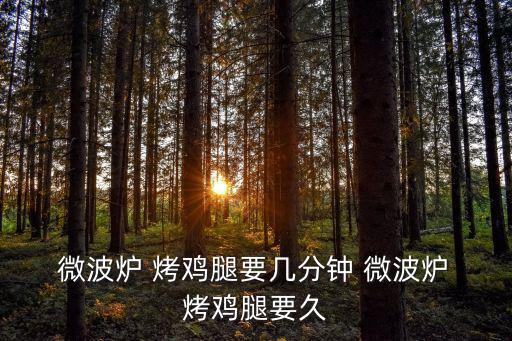 微波爐烤雞腿,微波爐烤雞腿注意事項